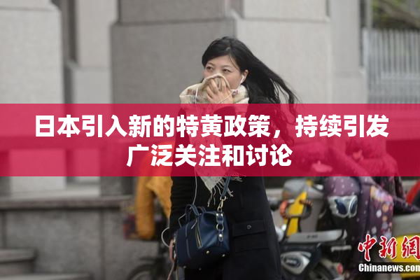 日本引入新的特黄政策，持续引发广泛关注和讨论