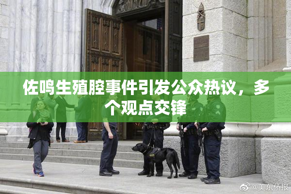 佐鸣生殖腔事件引发公众热议，多个观点交锋