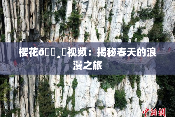 樱花🌸‌视频：揭秘春天的浪漫之旅