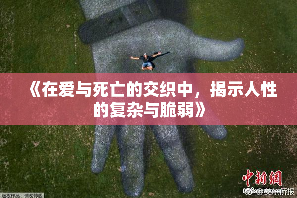 《在爱与死亡的交织中，揭示人性的复杂与脆弱》