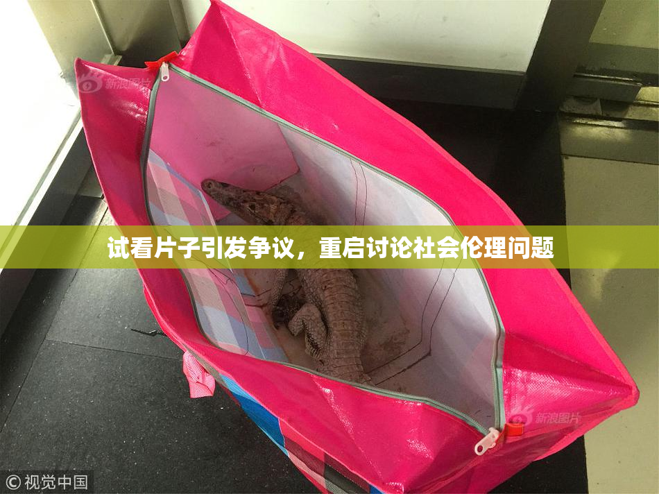 试看片子引发争议，重启讨论社会伦理问题