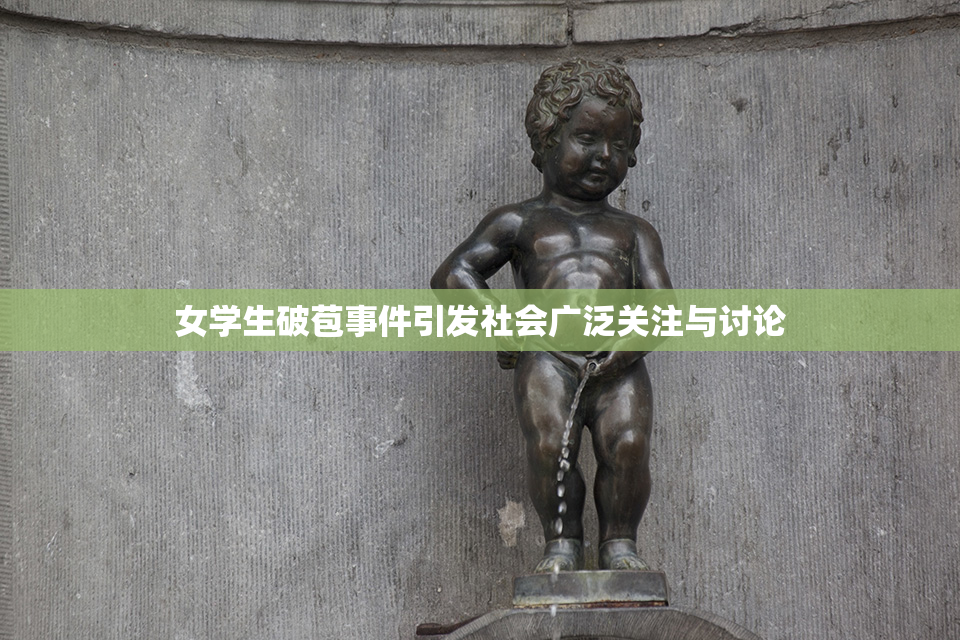 女学生破苞事件引发社会广泛关注与讨论