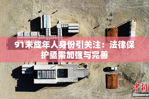 91未成年人身份引关注：法律保护亟需加强与完善