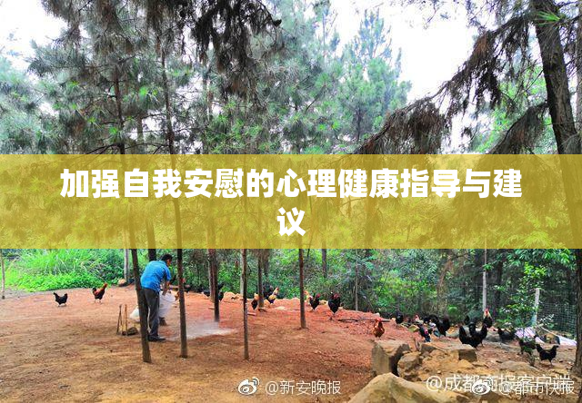 加强自我安慰的心理健康指导与建议