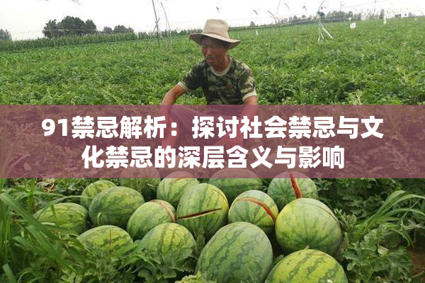 91禁忌解析：探讨社会禁忌与文化禁忌的深层含义与影响