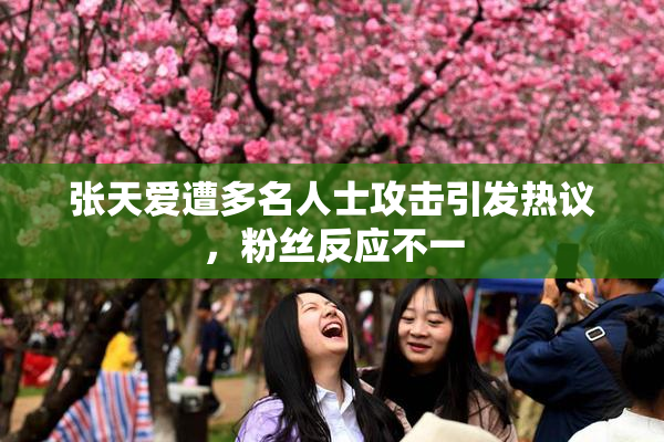 张天爱遭多名人士攻击引发热议，粉丝反应不一