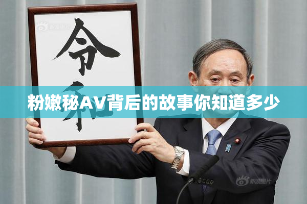 粉嫩秘AV背后的故事你知道多少