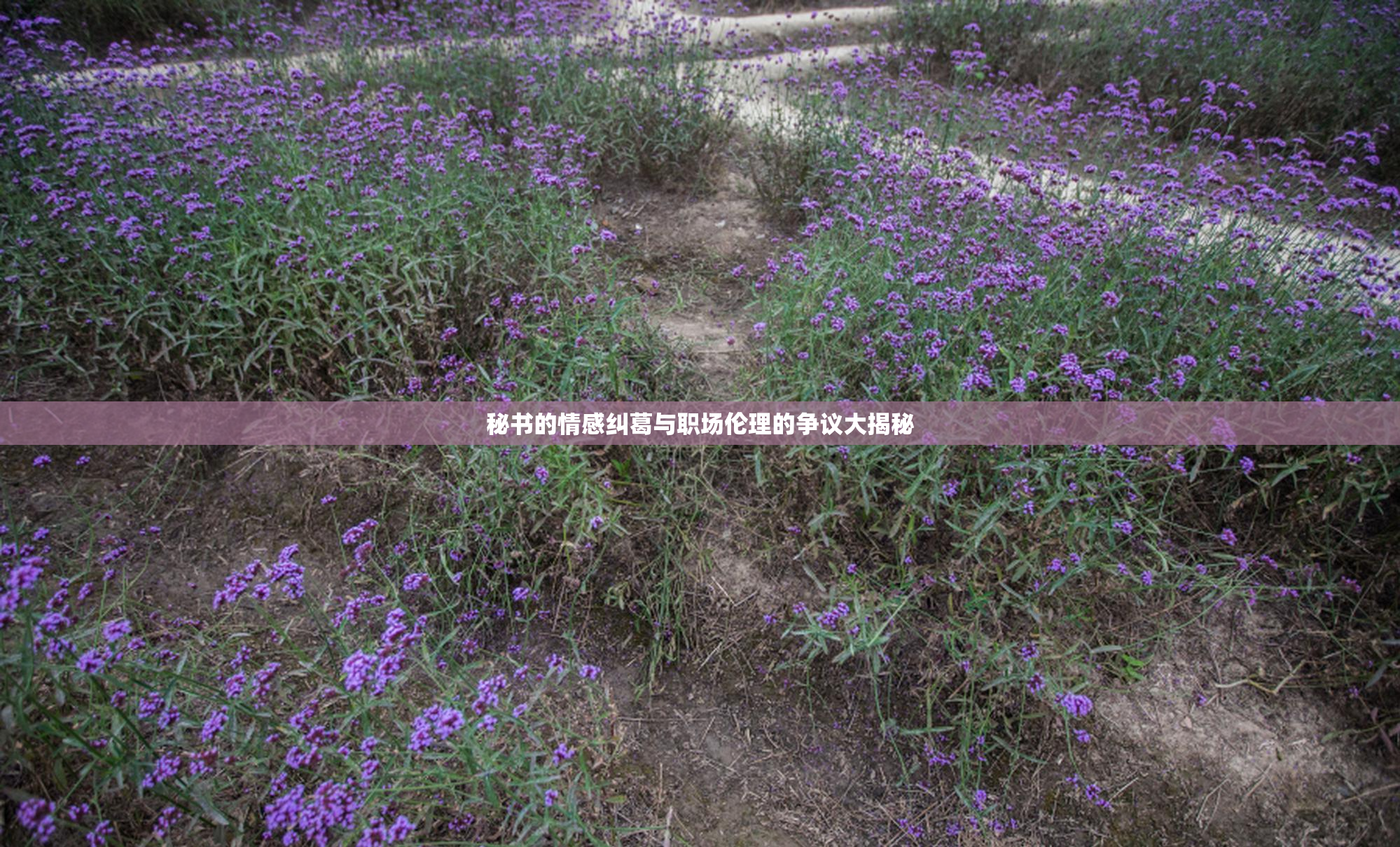 秘书的情感纠葛与职场伦理的争议大揭秘
