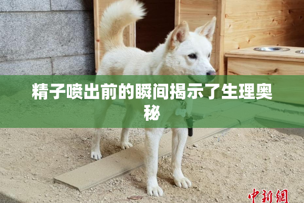 精子喷出前的瞬间揭示了生理奥秘
