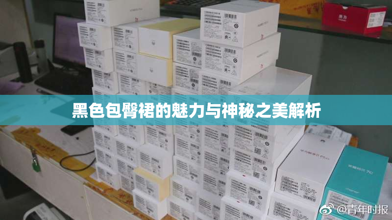 黑色包臀裙的魅力与神秘之美解析