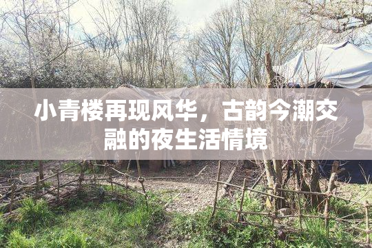 小青楼再现风华，古韵今潮交融的夜生活情境