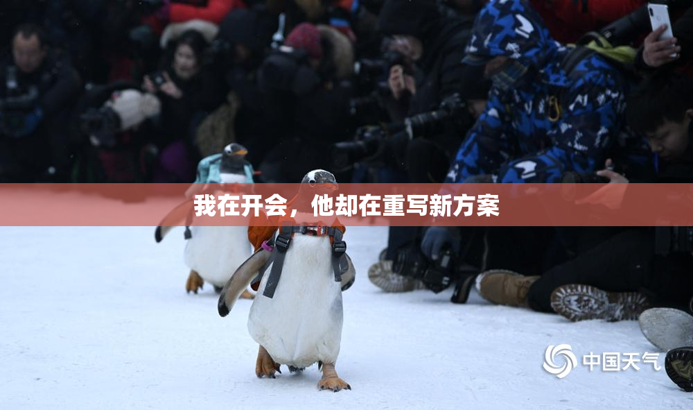 我在开会，他却在重写新方案