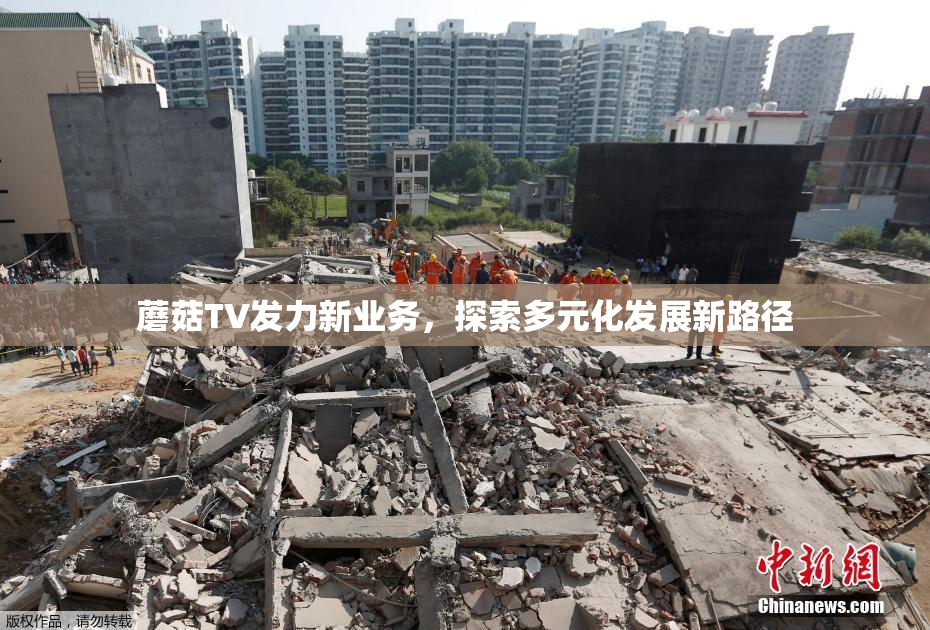 蘑菇TV发力新业务，探索多元化发展新路径