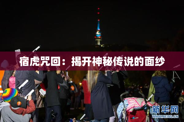 宿虎咒回：揭开神秘传说的面纱