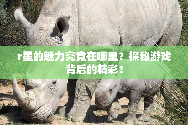 r星的魅力究竟在哪里？探秘游戏背后的精彩！