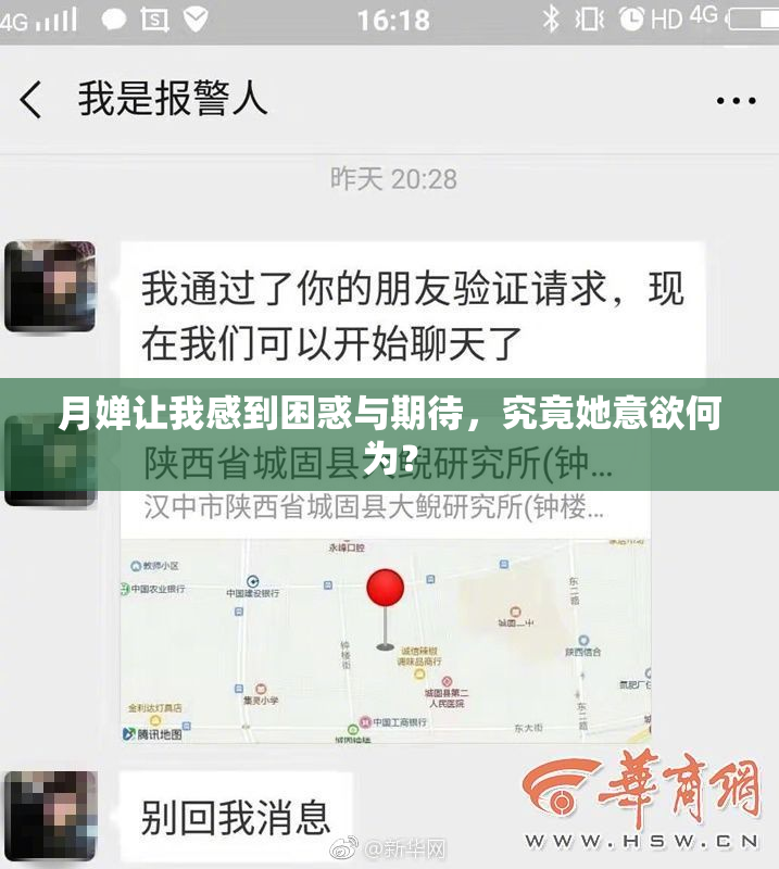 月婵让我感到困惑与期待，究竟她意欲何为？