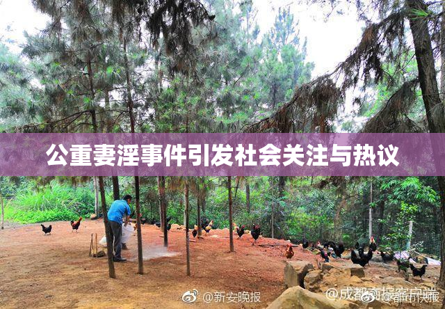 公重妻淫事件引发社会关注与热议