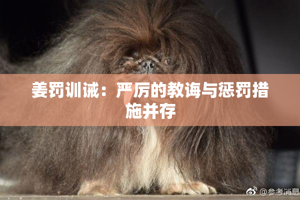 姜罚训诫：严厉的教诲与惩罚措施并存