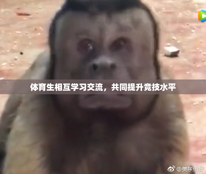 体育生相互学习交流，共同提升竞技水平