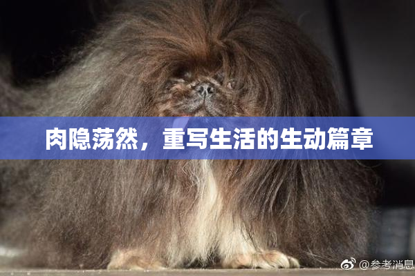肉隐荡然，重写生活的生动篇章