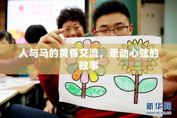 人与马的黄昏交流，牵动心弦的故事