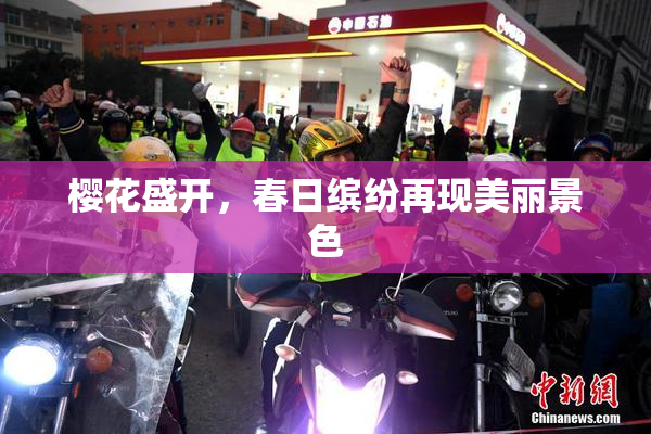 樱花盛开，春日缤纷再现美丽景色