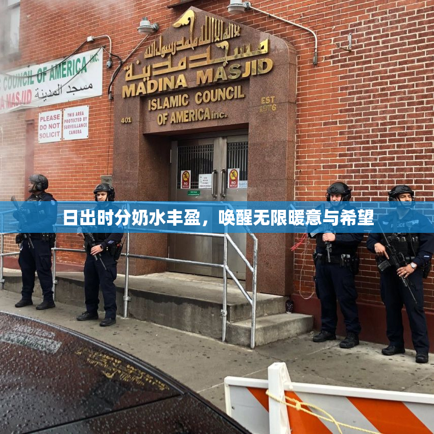 日出时分奶水丰盈，唤醒无限暖意与希望