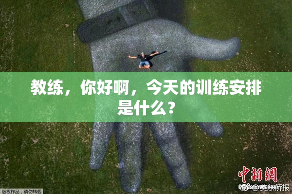 教练，你好啊，今天的训练安排是什么？