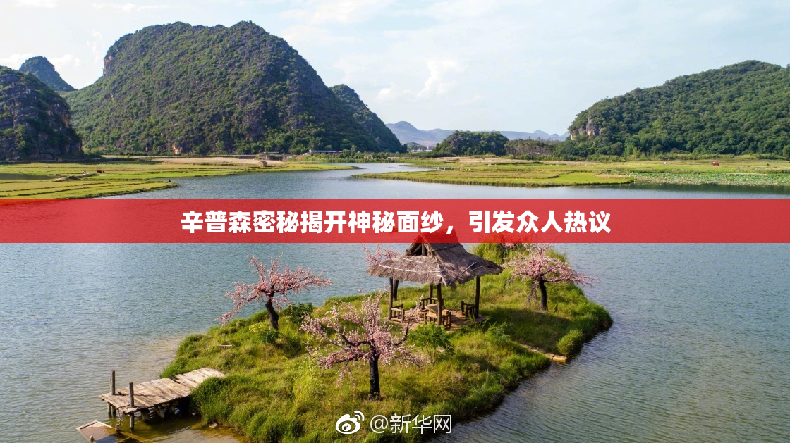 辛普森密秘揭开神秘面纱，引发众人热议