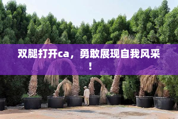 双腿打开ca，勇敢展现自我风采！