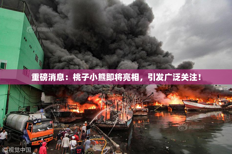 重磅消息：桃子小熊即将亮相，引发广泛关注！