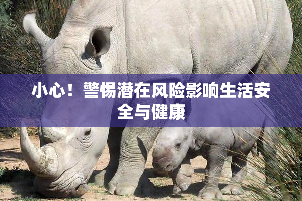小心！警惕潜在风险影响生活安全与健康
