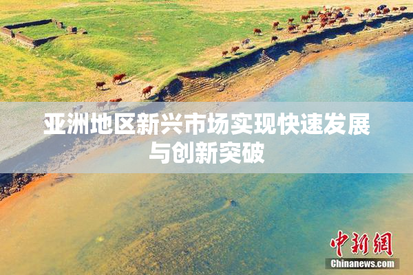 亚洲地区新兴市场实现快速发展与创新突破