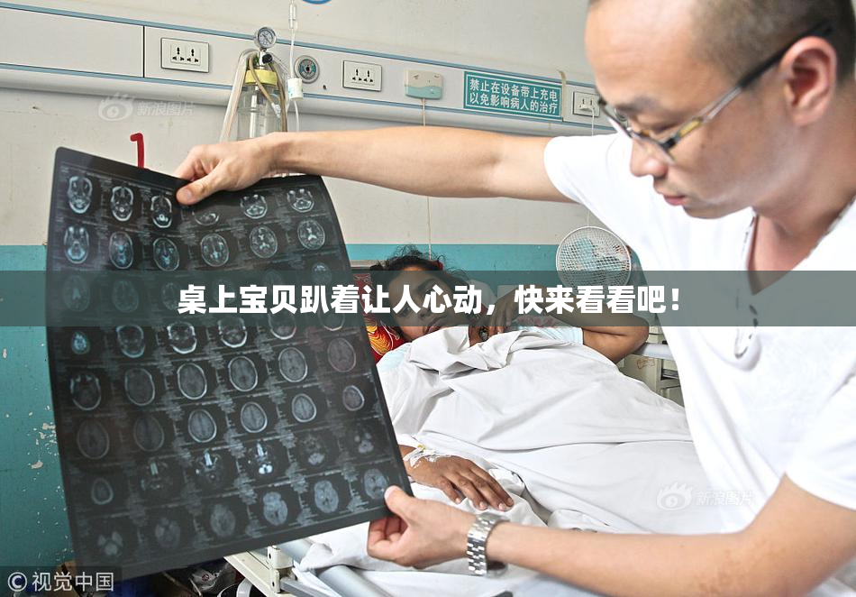 桌上宝贝趴着让人心动，快来看看吧！