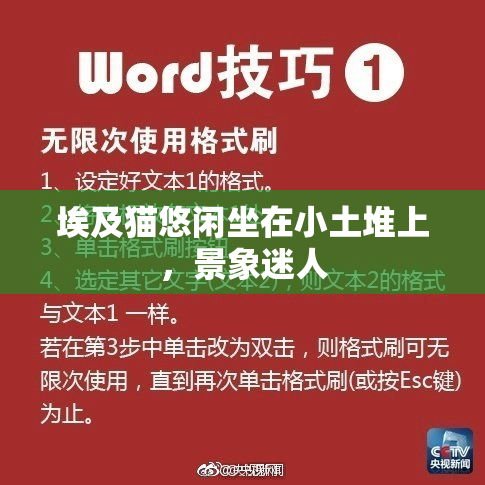 埃及猫悠闲坐在小土堆上，景象迷人