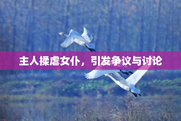 主人揉虐女仆，引发争议与讨论