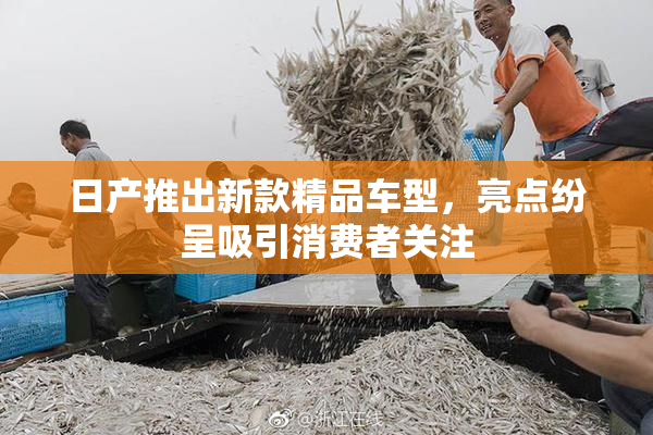日产推出新款精品车型，亮点纷呈吸引消费者关注