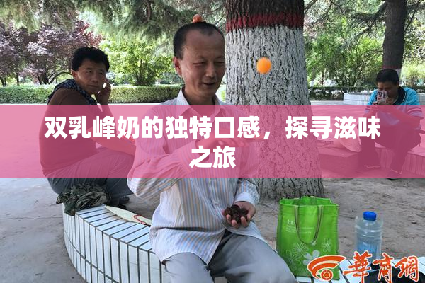 双乳峰奶的独特口感，探寻滋味之旅