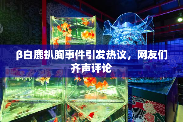 β白鹿扒胸事件引发热议，网友们齐声评论