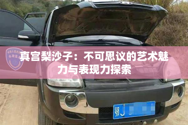 真宫梨沙子：不可思议的艺术魅力与表现力探索