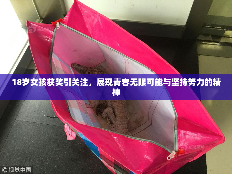 18岁女孩获奖引关注，展现青春无限可能与坚持努力的精神