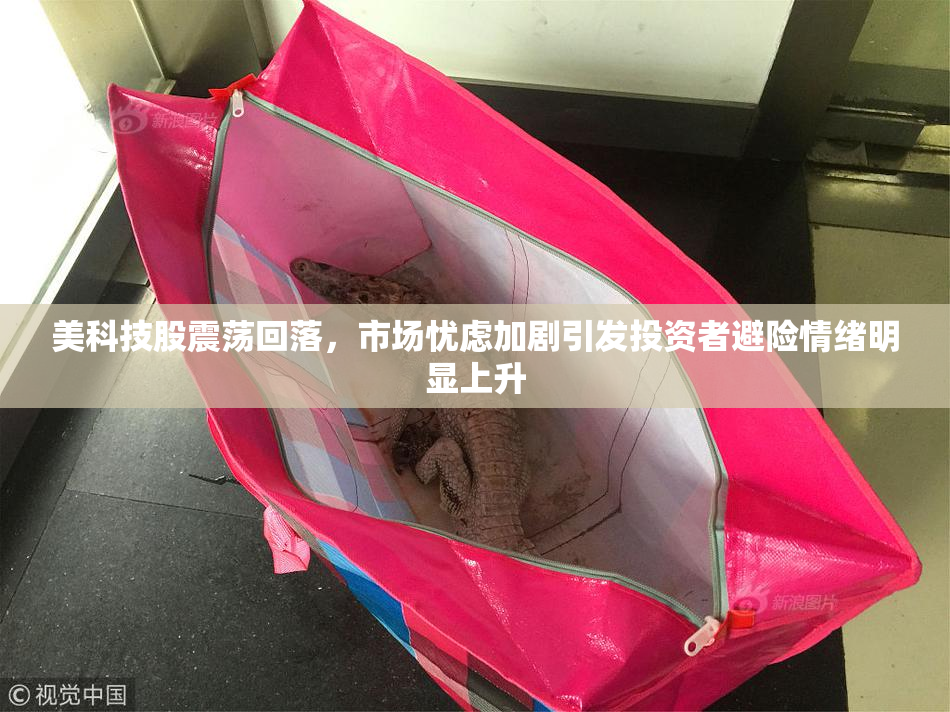 美科技股震荡回落，市场忧虑加剧引发投资者避险情绪明显上升