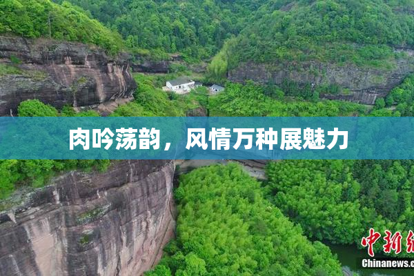 肉吟荡韵，风情万种展魅力