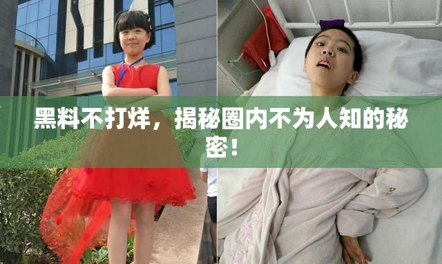 黑料不打烊，揭秘圈内不为人知的秘密！