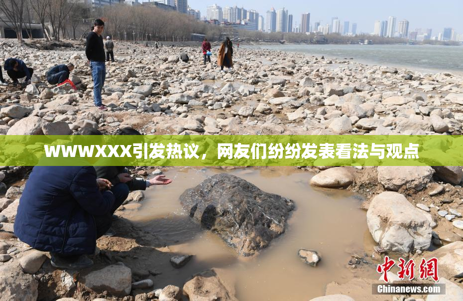 WWWXXX引发热议，网友们纷纷发表看法与观点