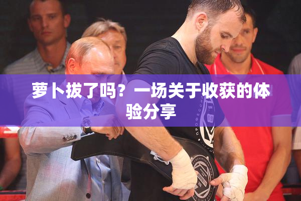 萝卜拔了吗？一场关于收获的体验分享