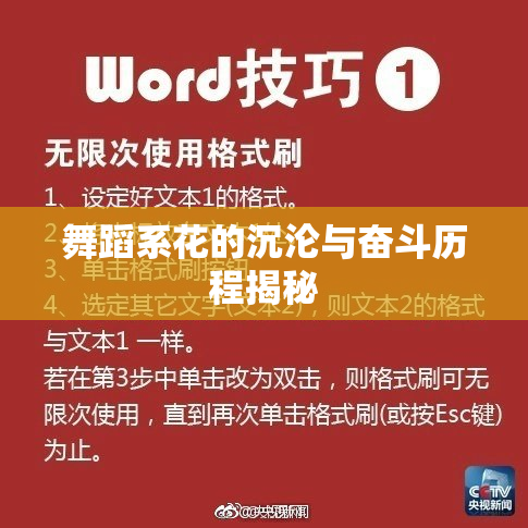 舞蹈系花的沉沦与奋斗历程揭秘