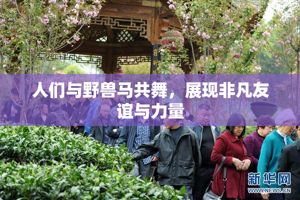 人们与野兽马共舞，展现非凡友谊与力量