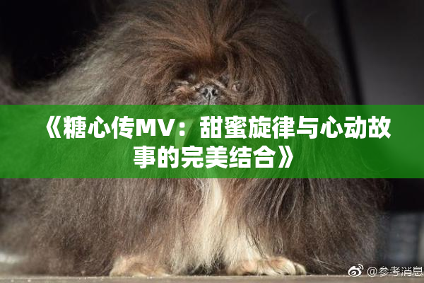 《糖心传MV：甜蜜旋律与心动故事的完美结合》