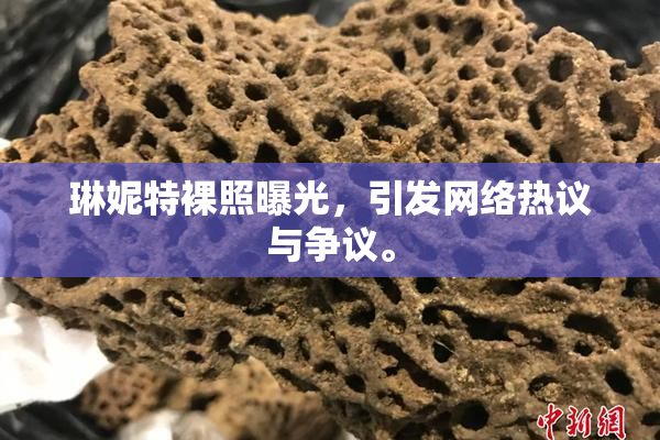 琳妮特裸照曝光，引发网络热议与争议。